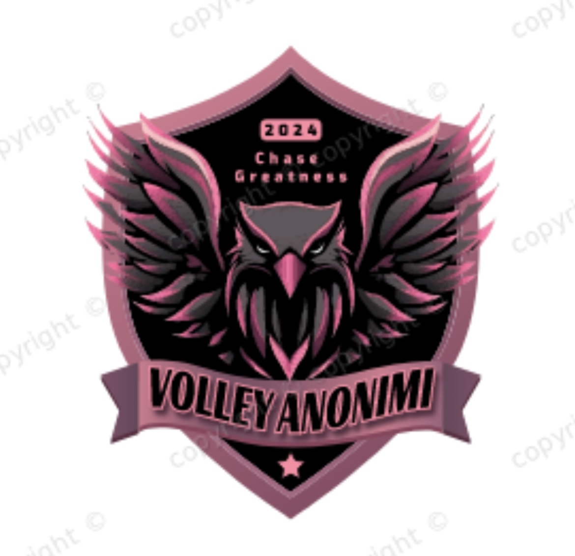 VOLLEY ANONIMI