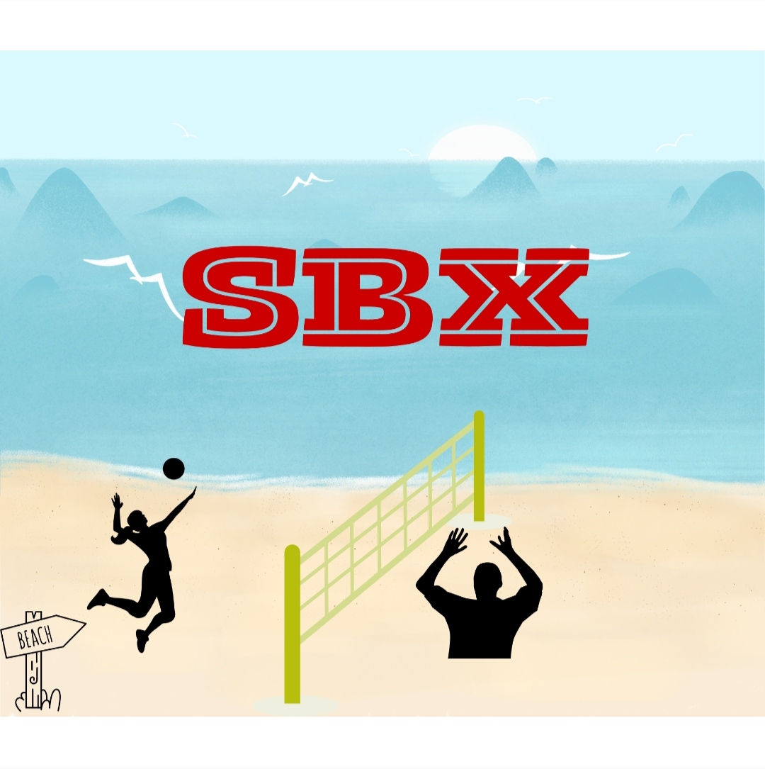 sbx on the beach
